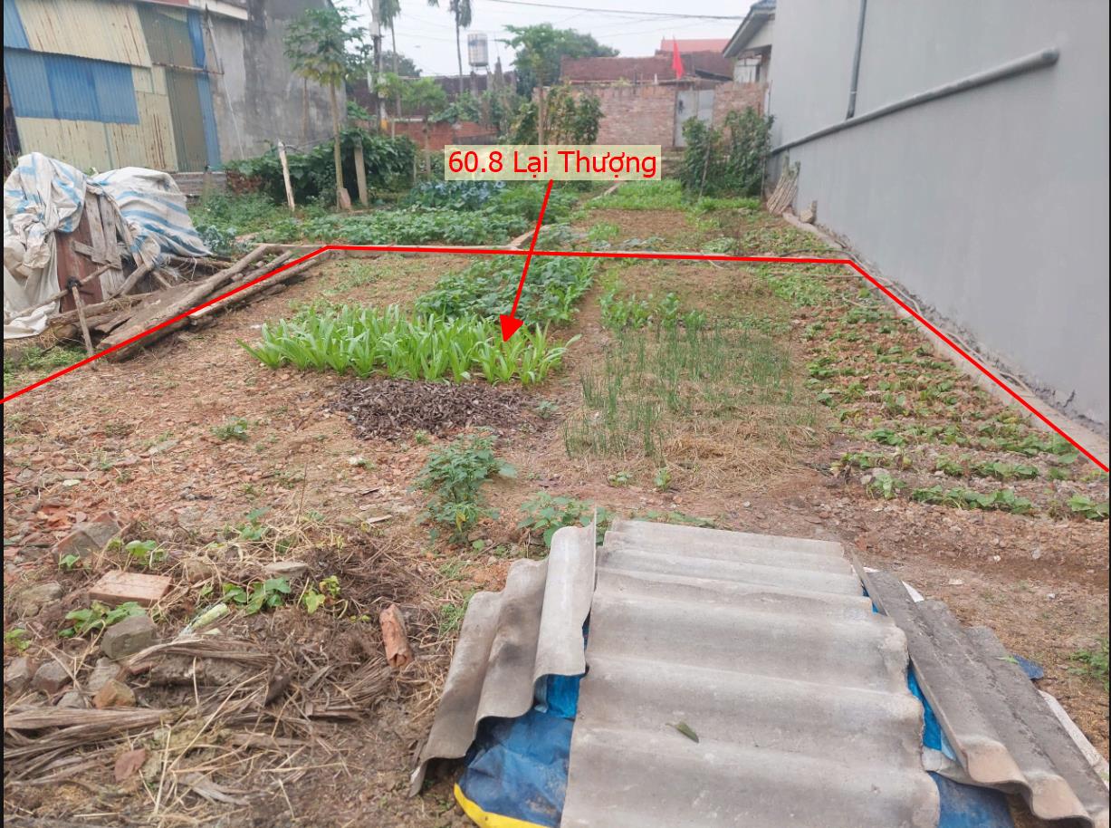 Hình ảnh Bán Lô Đất 60.8m Tại Lại Thượng Thạch Thất Bám Đường Bê Tông Ô Tô Vào Tận Đất Dân Cư Xung Quanh Đông Đúc Giá Đầu Tư